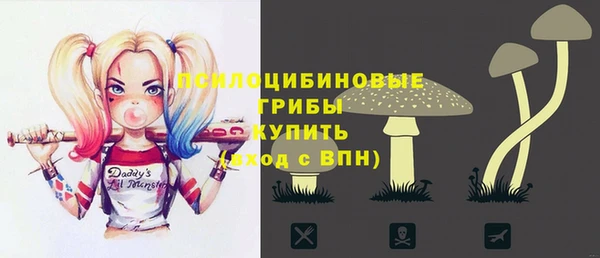прущая мука Белокуриха