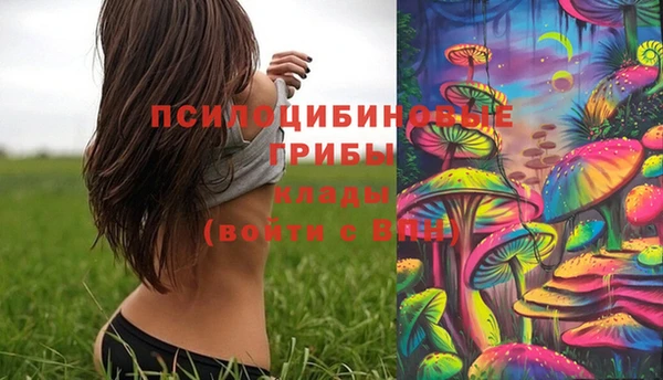 прущая мука Белокуриха